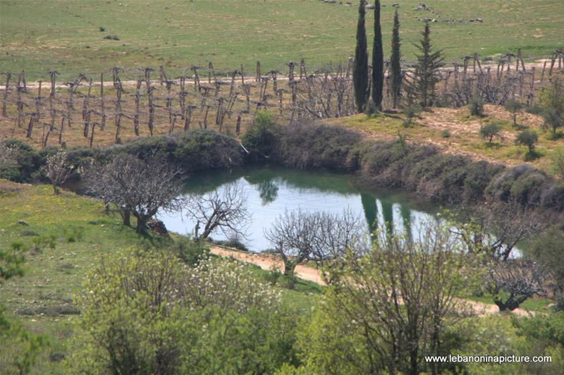 A Hike in kfarmishki Bekaa with Promax (kfarmishki, Bekaa)