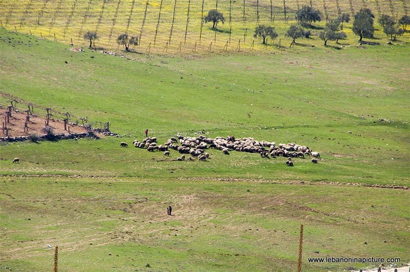 A Hike in kfarmishki Bekaa with Promax (kfarmishki, Bekaa)