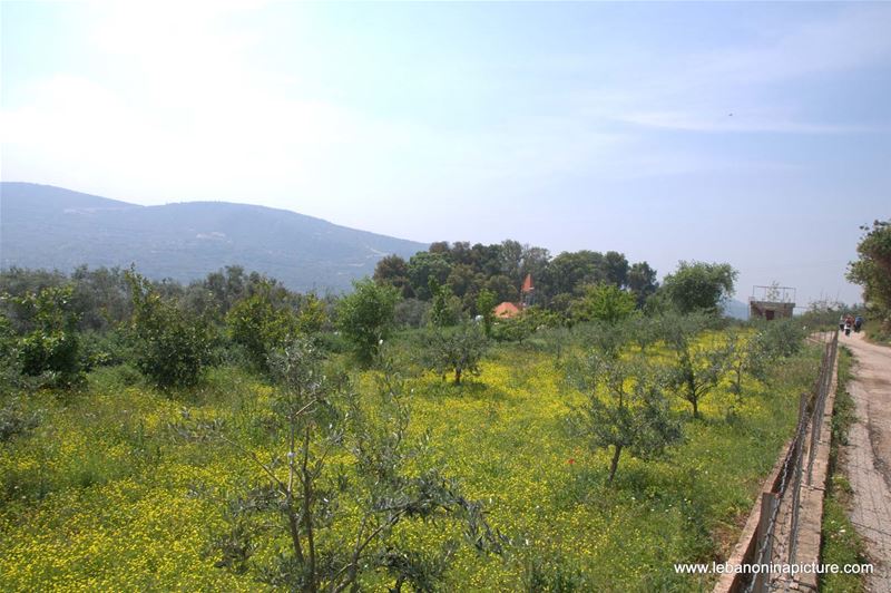 A Hiking in Rahbeh Akkar with Vamos Todos (Rahbeh, Akkar)