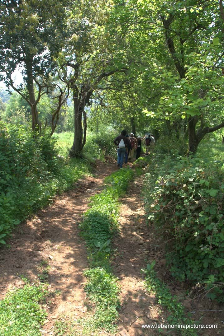 A Hiking in Rahbeh Akkar with Vamos Todos (Rahbeh, Akkar)