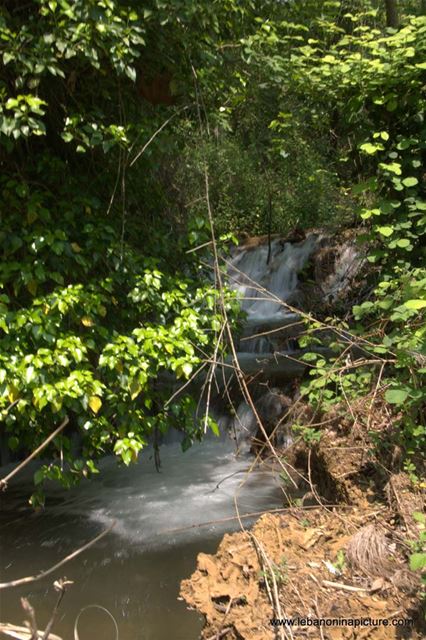 A Hiking in Rahbeh Akkar with Vamos Todos (Rahbeh, Akkar)