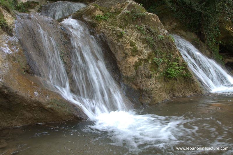 A Hiking in Rahbeh Akkar with Vamos Todos (Rahbeh, Akkar)