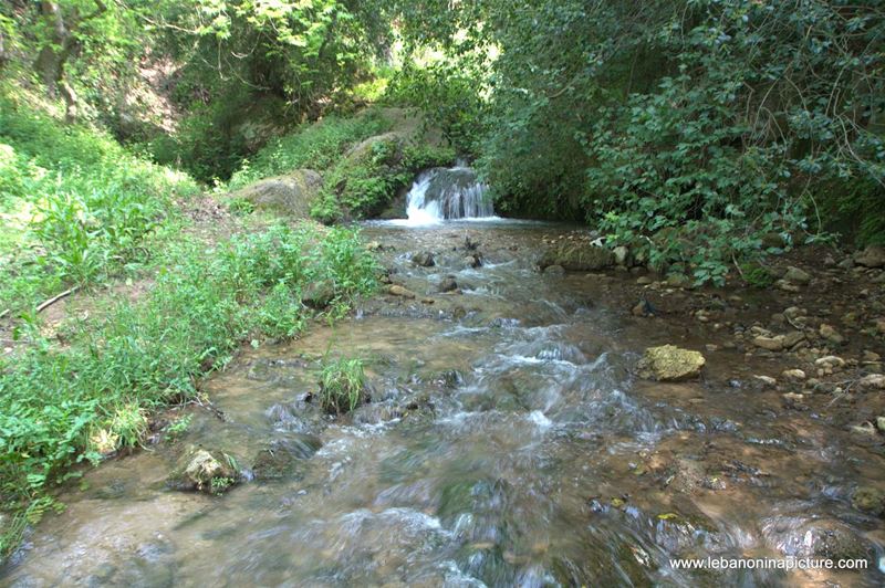 A Hiking in Rahbeh Akkar with Vamos Todos (Rahbeh, Akkar)