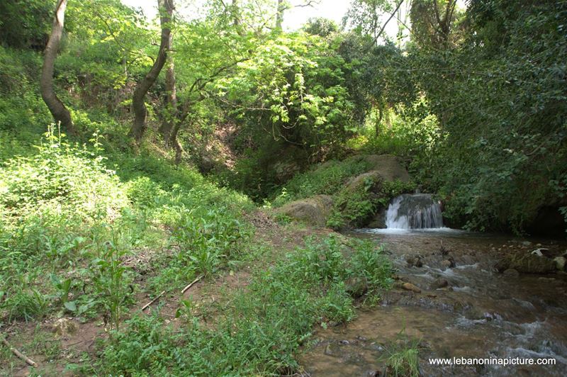 A Hiking in Rahbeh Akkar with Vamos Todos (Rahbeh, Akkar)