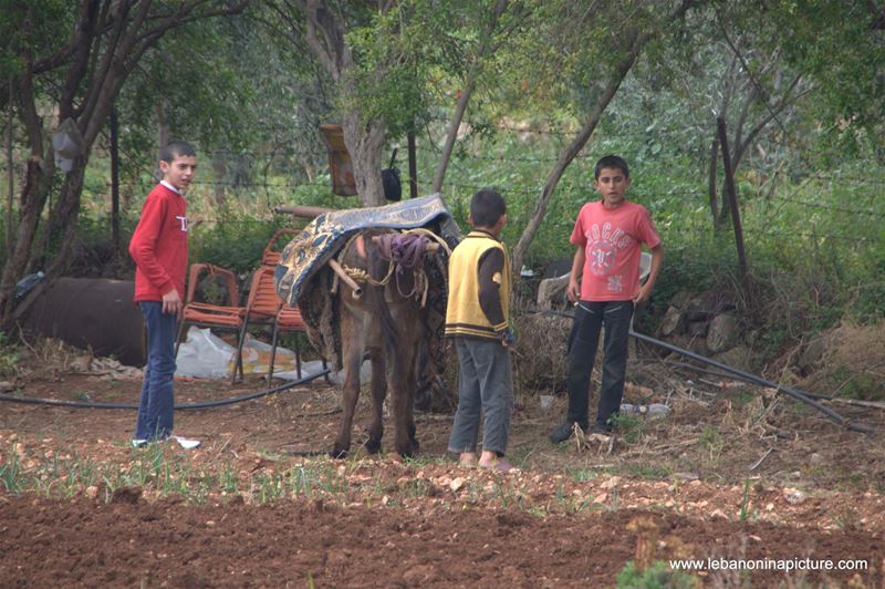 A Hiking in Rahbeh Akkar with Vamos Todos (Rahbeh, Akkar)