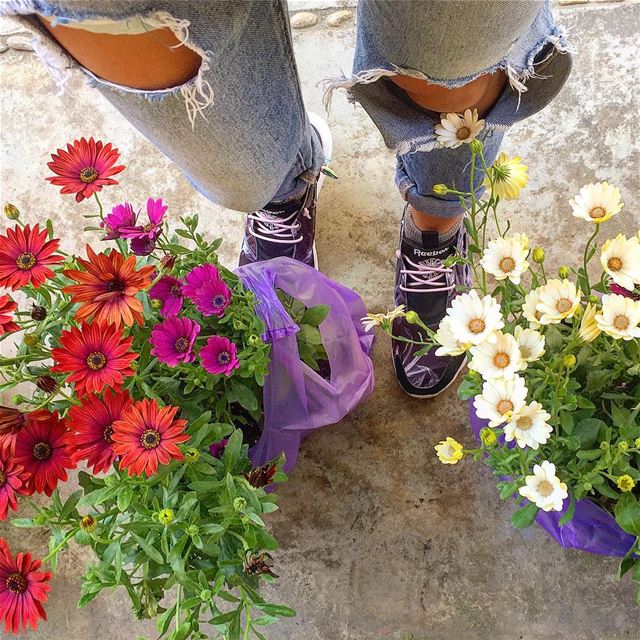 A hole in my jeans and flowers at my feet! Sunny Sunday afternoon🍃🌼🌿... (Jamhoûr, Mont-Liban, Lebanon)