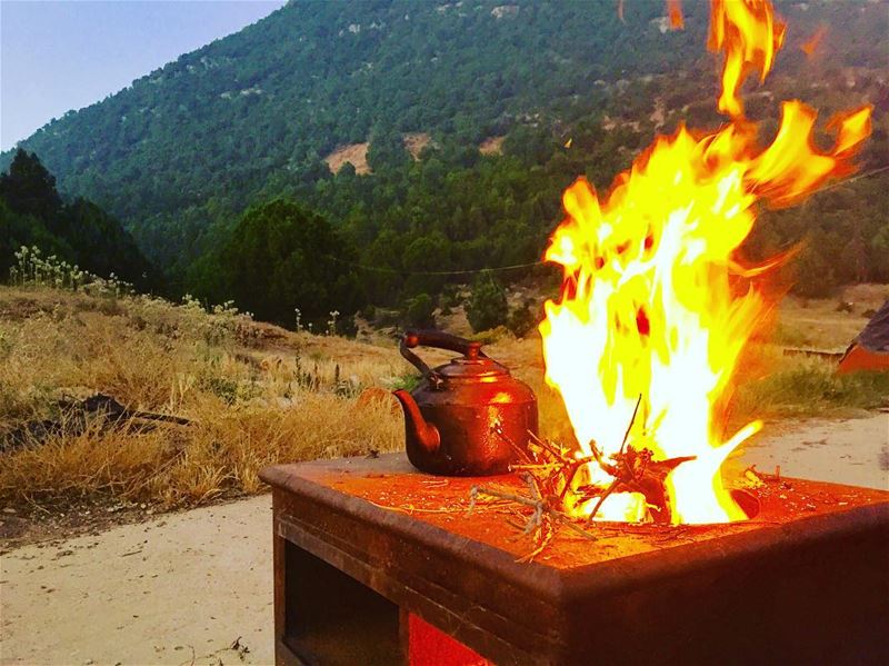 A hot tea for such a cold days!!....... intothewild  camfire ... (Mount Lebanon)
