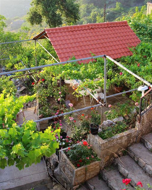 A house with an entrance like this 🏡  goodmorning ............ (Chouf)