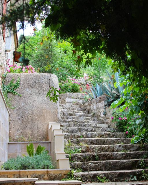 A house with an entrance like this 🏡 (part 2) ......... Lebanon ... (Chouf)