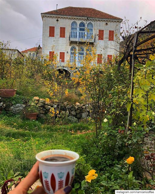 A hundred photos can’t translate enough the beauty of this nature...... (Douma, Liban-Nord, Lebanon)