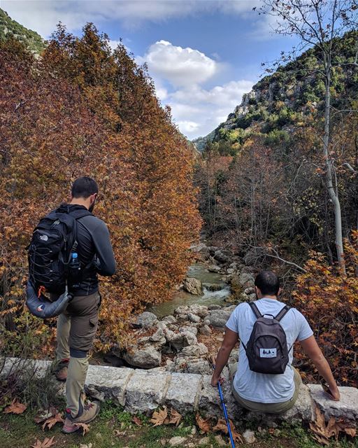 A hypnotizing view🍁⚠COMPETITION⚠: WIN AN AWESOME HIKING BAG, CHECK OUT... (Lebanon)