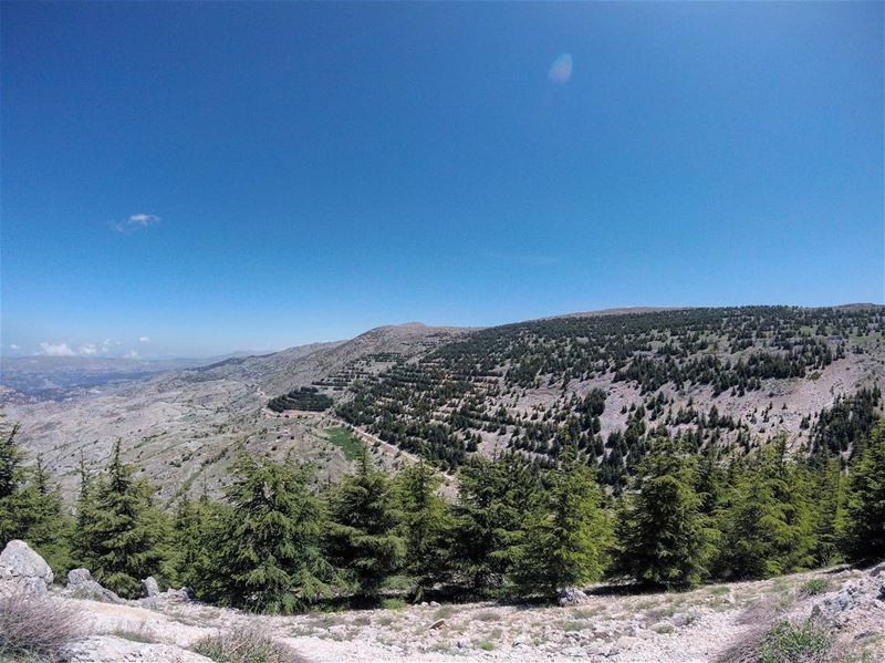 a l  s h o u f ..c e d a r s ..r e s e r v e .. lebanon  lebanon_hdr ... (Al Shouf Cedar Nature Reserve)