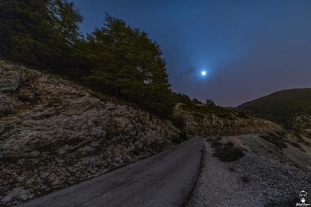 A late night hike in the cedars and under the moon light @shoufreserve @liv