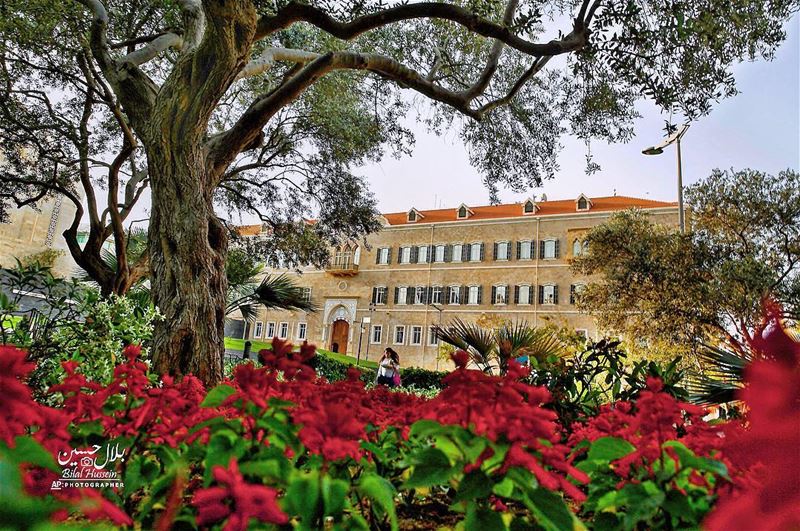 A Lebanese woman walks in front of the Government Headquarters (Grand...