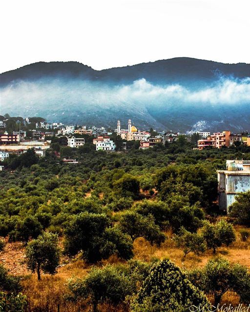 A life spent making mistakes is not only more honourable but more useful... (Arabsalim, Lebanon)