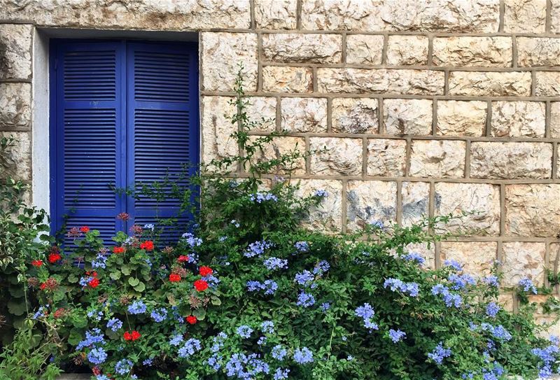 A little bit of blue 💙☘️ a7labaladbil3alam  photo  love  photograph ... (El Knaïssé, Mont-Liban, Lebanon)