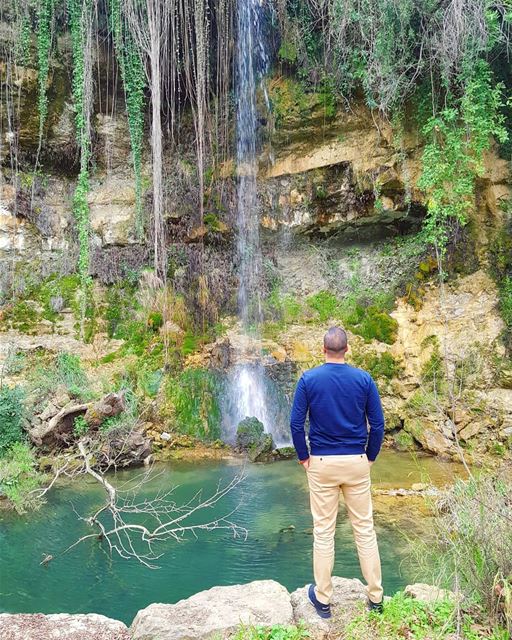 A little piece of heaven ... 🌳💚 (El-Mukhtarah, Mont-Liban, Lebanon)