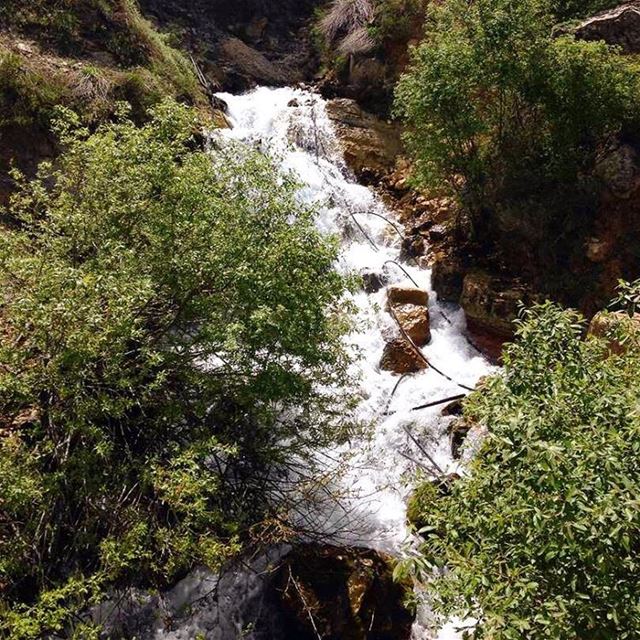 A long  weekend calls for a long  daytrip ! Head to  Ehden and  hike in... (Ehden, Lebanon)
