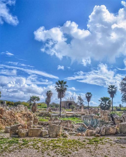 A lot of what is most beautiful about the world arises from struggle -... (Roman ruins in Tyre)