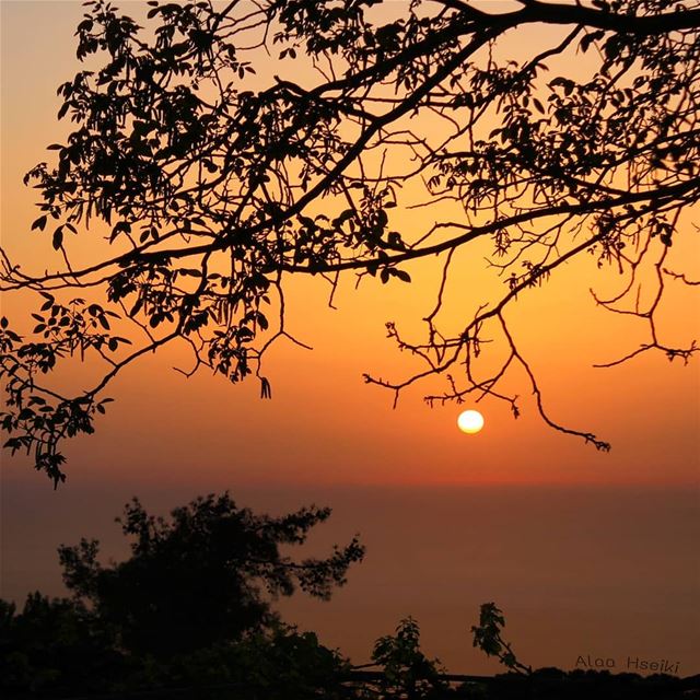 ~A Magical Moment.. 🌇... Hseiki  Lebanon  beirut  nature  photography... (Aïnâb, Mont-Liban, Lebanon)