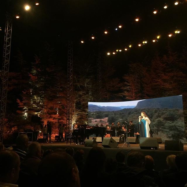 A magical night under the cedars of TANNOURINE !!! tannourinecedarsnights... (Tannourine Cedars Nights ليالي أرز تنورين)