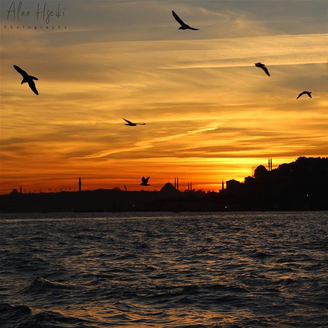 A Magical Sunset 🌅... Hseiki  Lebanon  turkey  turkish  lifestyle ... (Istanbul, Turkey)