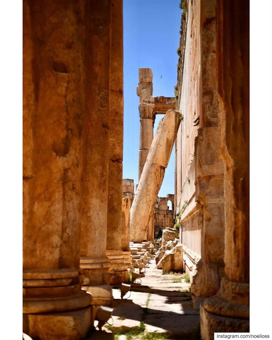 A Million Dreams. romantemple  temples  romans ... (Baalbek , Roman Temple , Lebanon)