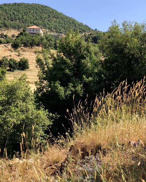 A monastery out in the middle of nowhere is my idea of a perfect spot....