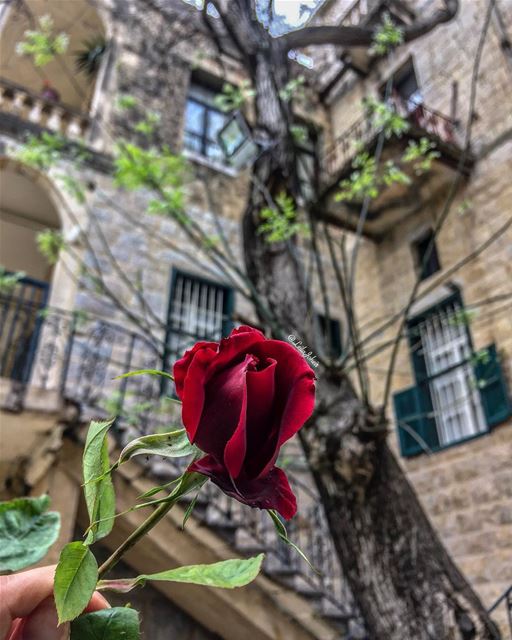 A monday well spent...  livelovejezzine  motherearth  myescape  serenity ... (Jezzîne, Al Janub, Lebanon)