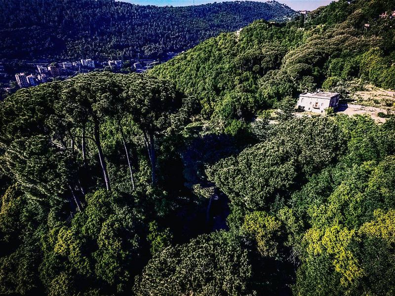 A more than 100 years old my grandma's house ... Lebanon  ig_lebanon ... (Aramoun Keserwan)