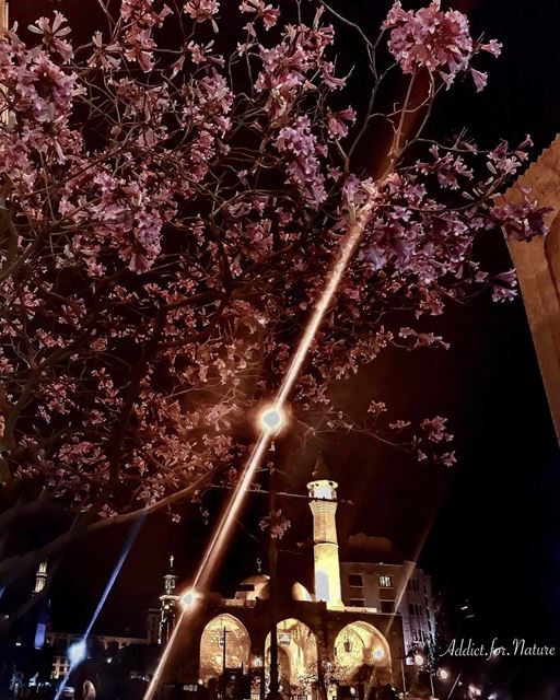 A mosque and a church on a beautiful spring night ------------------------- (Downtown Beirut)