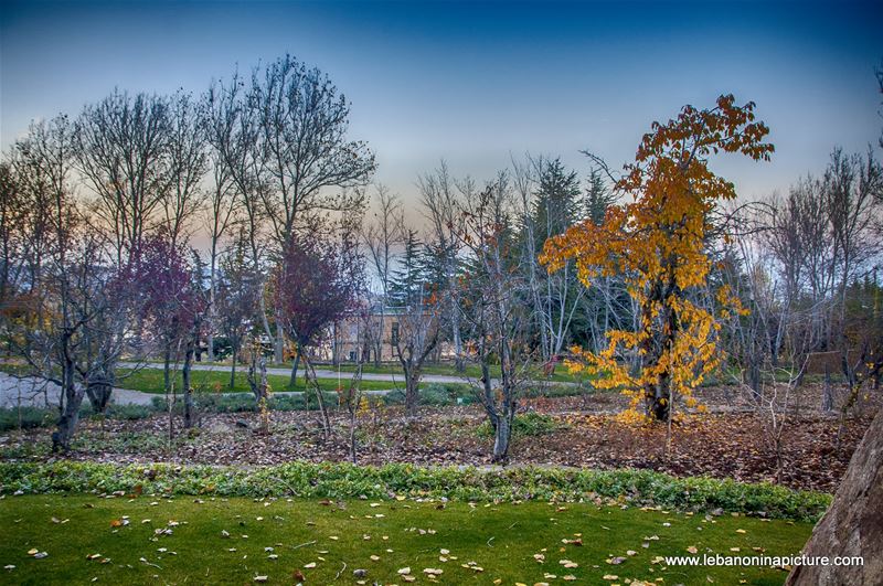 A never ending Autumn (Laklouk)