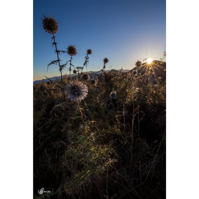 A nice night was followed by a warm morning lebanon  sunrise  nature  ...