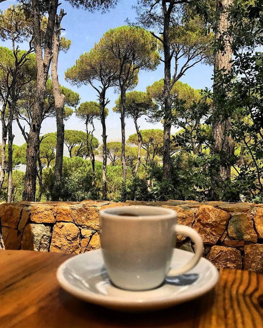A perfect afternoon treat with a priceless view ☕😍 Photo Credits: @nes.lau