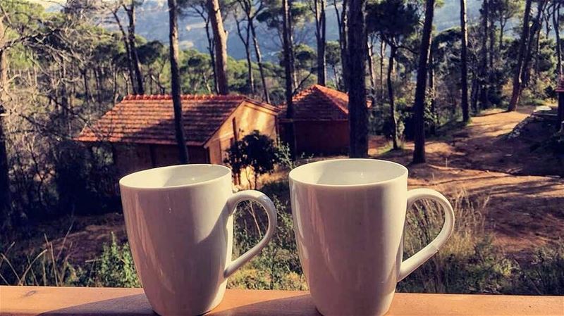 A perfect Sunday morning ☕🏡 Have a great day everyone! ☉❤...