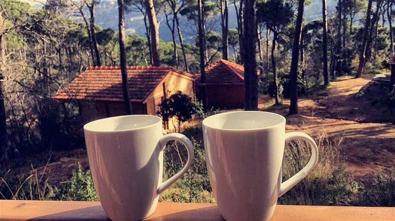 A perfect Sunday morning ☕🏡 Have a great day everyone! ☉❤...