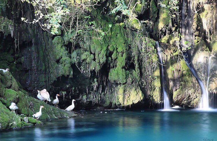 A piece of heaven on earth 🍀💦.. lebanesefood  lebanon  chouf ... (Baakline, Mont-Liban, Lebanon)