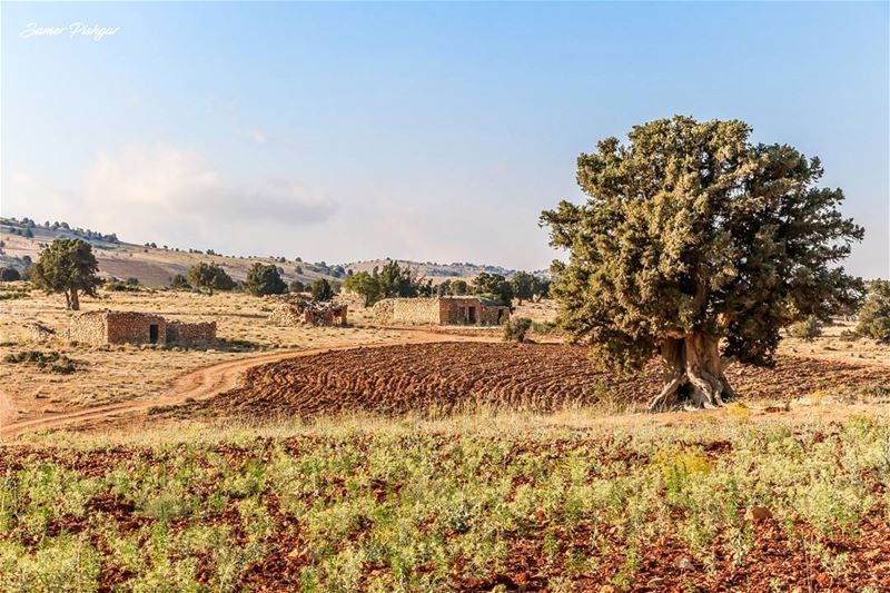 A place like no other...The traditional houses in Hermel  Lebanon @livelo