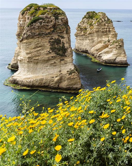 A primavera faz qualquer paisagem do Líbano ficar ainda mais bonita. Bom... (Beirut, Lebanon)