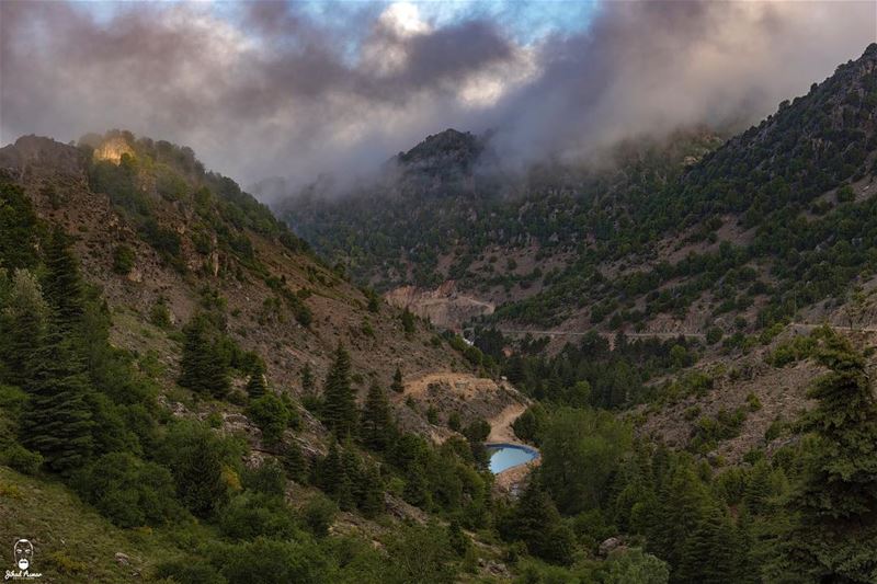 A promising sunrise from Ehmej’s Cedars…...