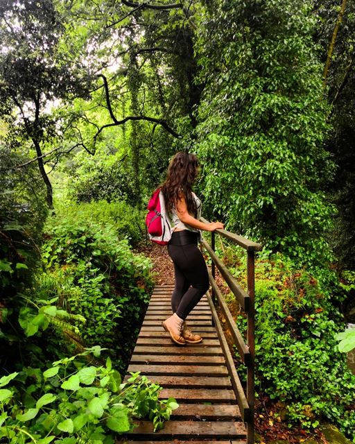 A rainy day is the perfect time for a walk in the  woods  hiking ...