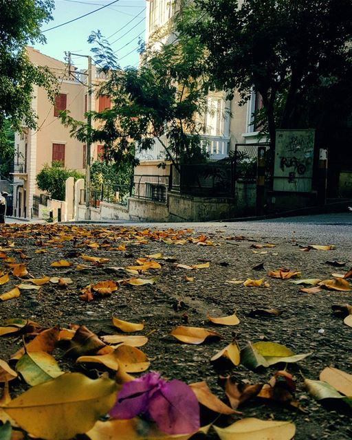A Rendez-vous with october.. 🍂🍁🍃When in my Beirut.. tbt missing... (Beirut, Lebanon)