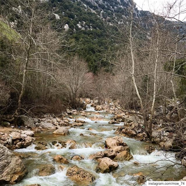 A river cuts through the rock, not because of its power, but because of... (Abou Mîzâne, Mont-Liban, Lebanon)