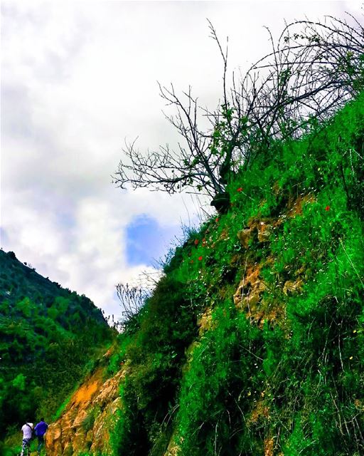 A sense of scale in Wadi Al Mukhtara, Lebanon🍀🍂-------------------------