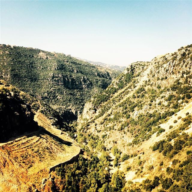 A  series of  green  mountains on the  way from  Broumana to  faytroun ... (Kfardebian)