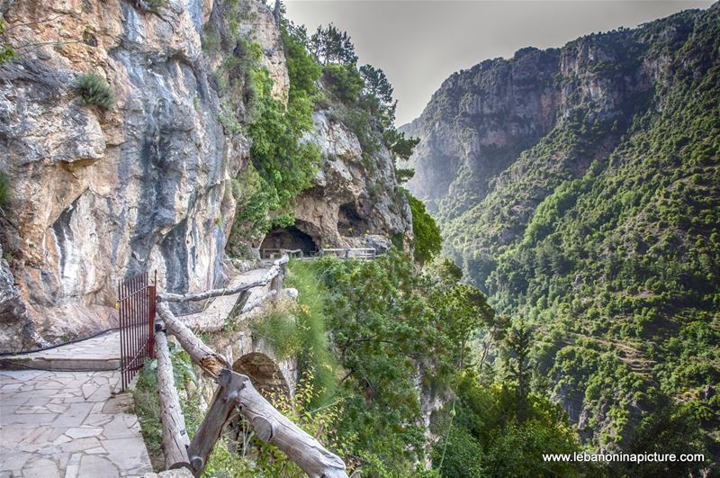 A Side Walk on the Side of the Mountain (Qannoubine Monastery, Wadi Qannoubine, North Lebanon)