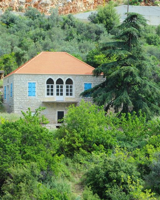 A sight I never get tired of... in the end, all we have left is our... (Hâqel, Mont-Liban, Lebanon)