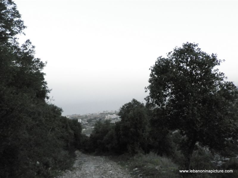 A Small Church in Safra