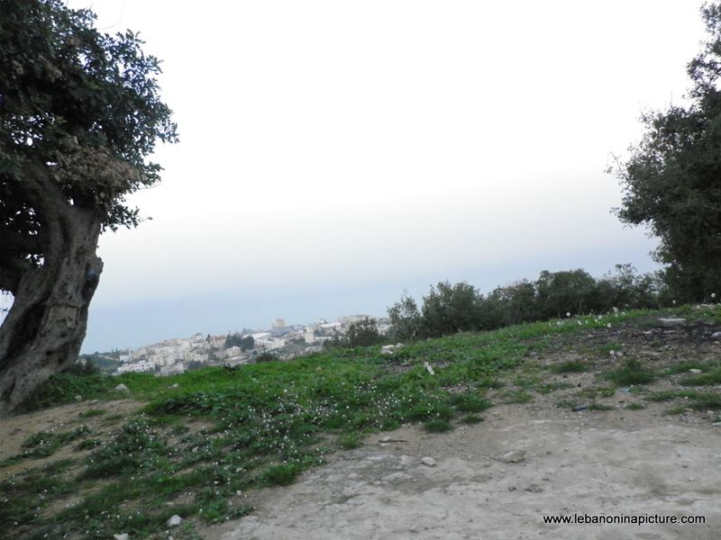 A Small Church in Safra