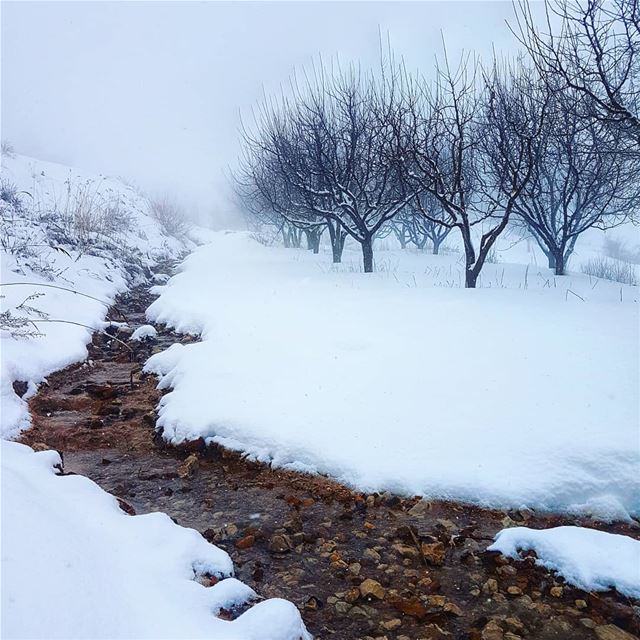 A small creek though the ice  snow  winter  cold  amazing  beautiful ... (Mount Lebanon Governorate)